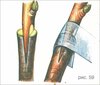 Фэртъ Онъ. часть 9. Нужда.ошибка морфологии. - cf5a66cd2e76370678fb48d23cda80a4.jpg